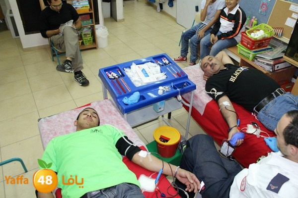 dam kenan0331 (1).jpg